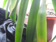 IMG 7888