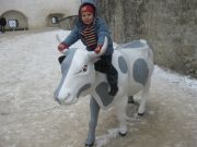 IMG 0261