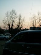 PICT0009