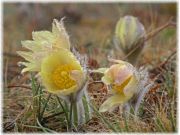 DSCN0942