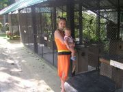 Paradise Park Farm