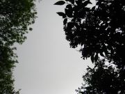 IMG 0002