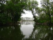 IMG 0066