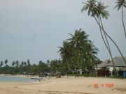 DSC02484