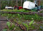 IMG 1157 ����� ������