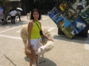 IMG 4037