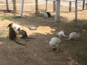 IMG 4067