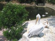 IMG 4073