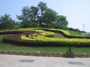 IMG 4184