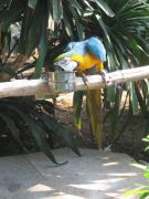 IMG 4213