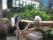 IMG 4217