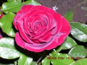 Beatiful