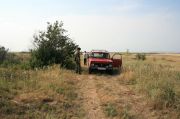 Steppes new 3
