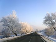 -2009 047