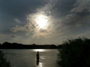 �������...