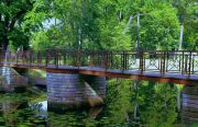 SG204349-