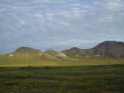   DSC00011