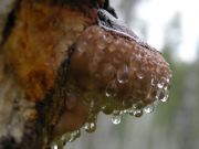 DSCN1663