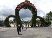 IMG 0056