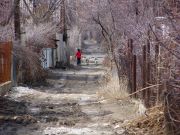 � ����� ������ ��� �������