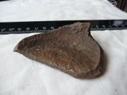 ������� 2