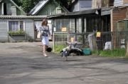 Zoo-5