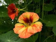 DSC00176