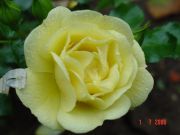 DSC01396