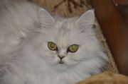  DSC0001