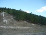 P1000165