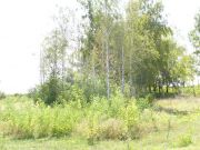 P9202650