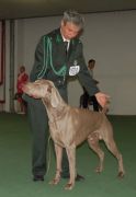 DSC 0105