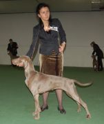 DSC 0180