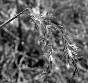 P1080393aba
