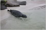 IMG 0381  