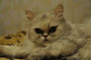  DSC0261
