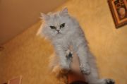  DSC0301