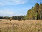 IMG 1661-