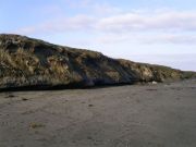 PICT0091
