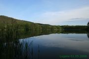 img 7642.v2