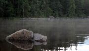 IMG 0648-