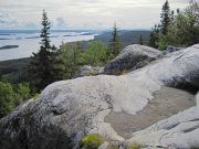 IMG 0695-