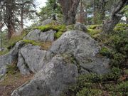 IMG 0702-