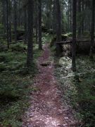 IMG 0726-