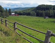 IMG 0753-
