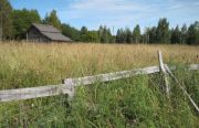 IMG 0792-