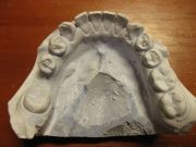 IMG 0972