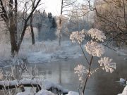 IMG 4533