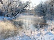 IMG 4499