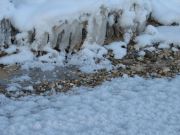 IMG 4524